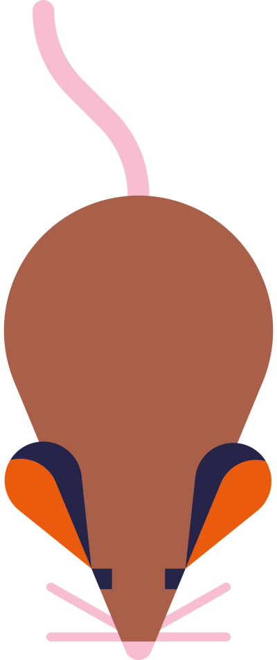 rat